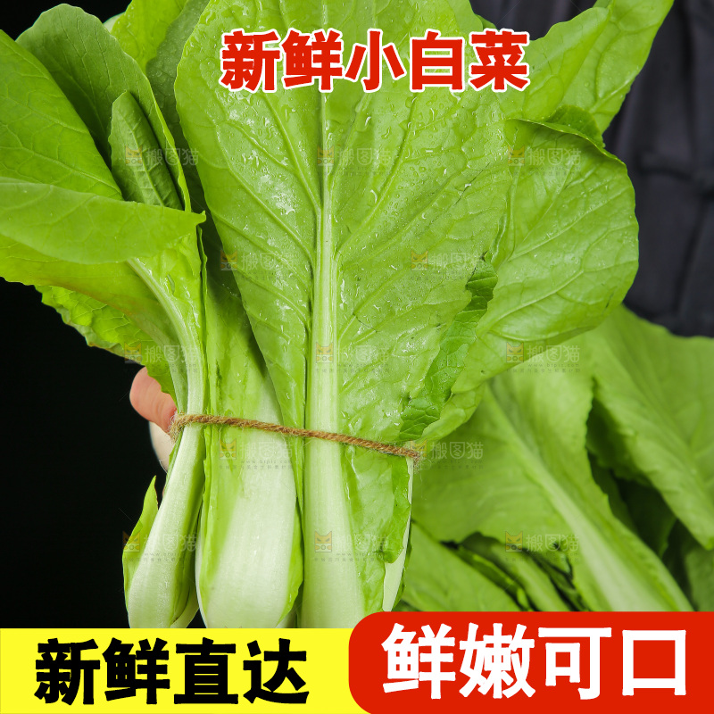 手里拿着小白菜