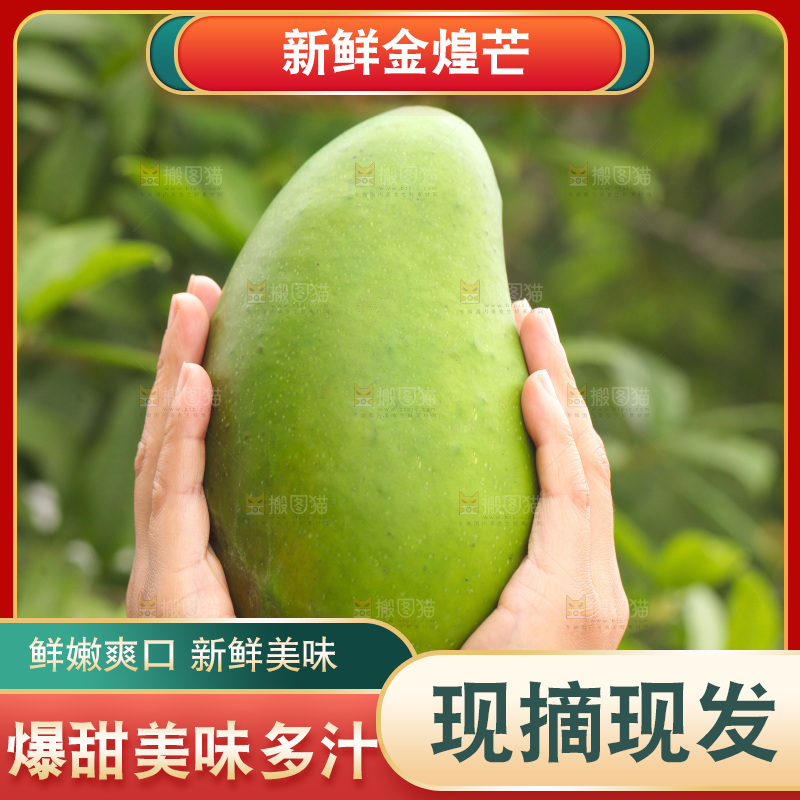手里拿着青金煌芒