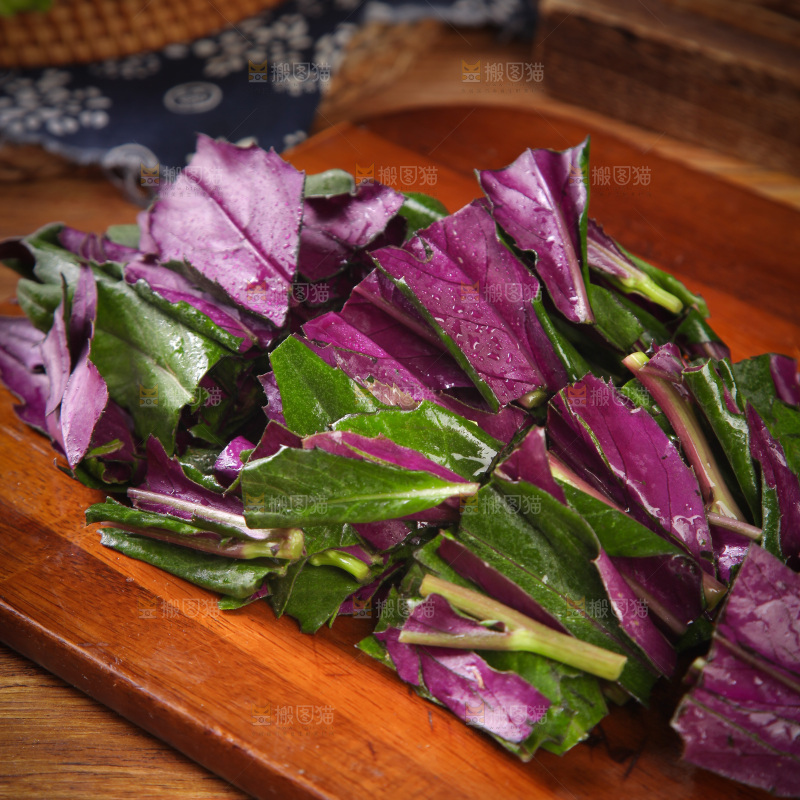 木底上放着紫背天葵