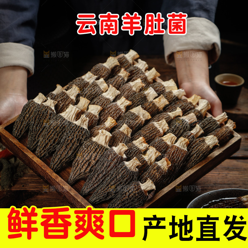 手里端着一盘带柄羊肚菌