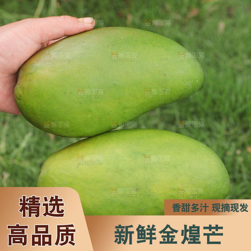 手里拿着青金煌芒