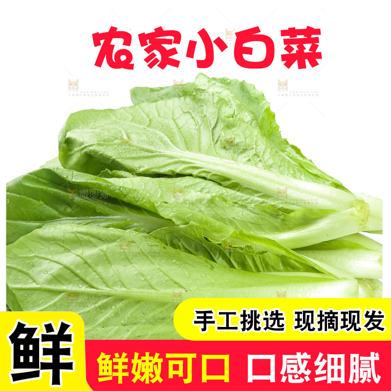 白底上放着小白菜