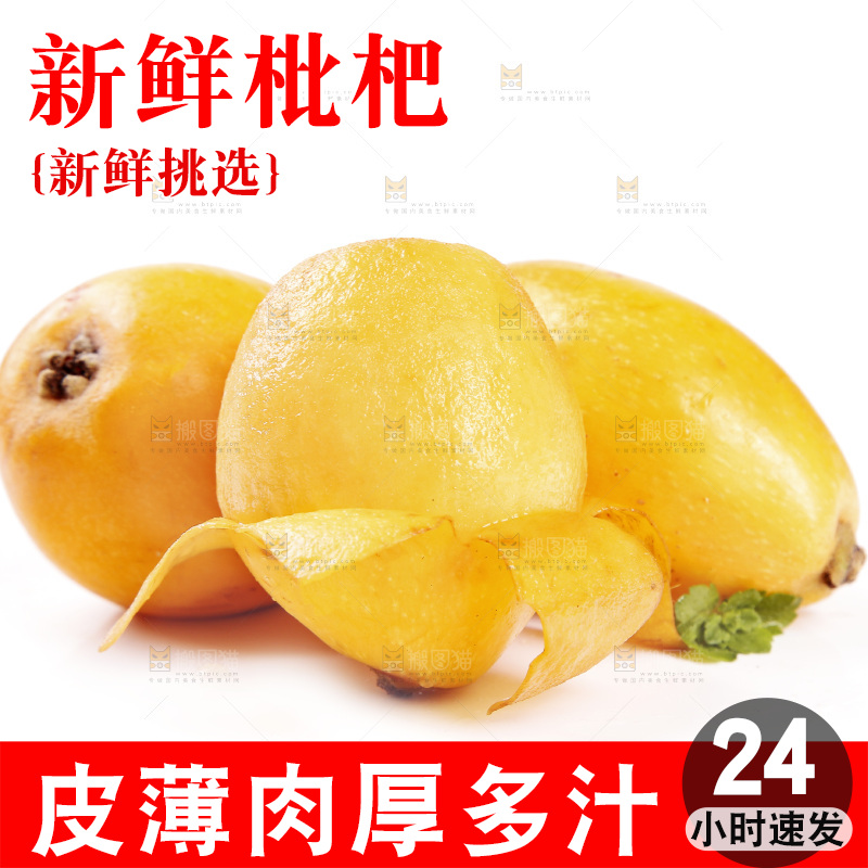 白底上的米易枇杷
