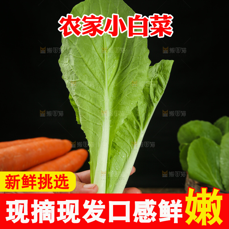 手里拿着小白菜