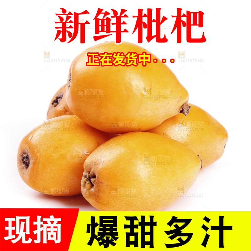一堆新鲜大枇杷