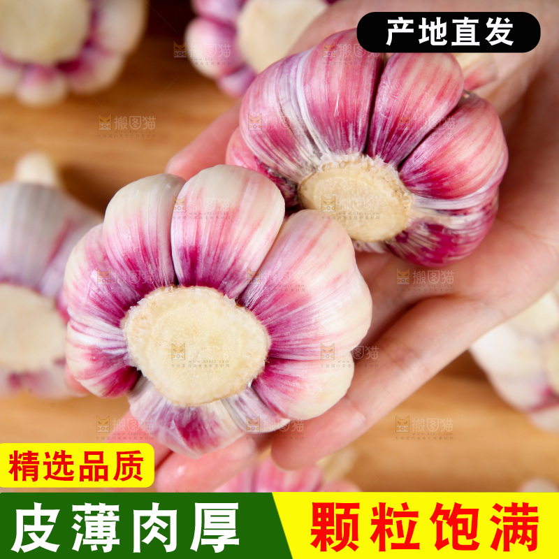 新鲜大蒜纹理