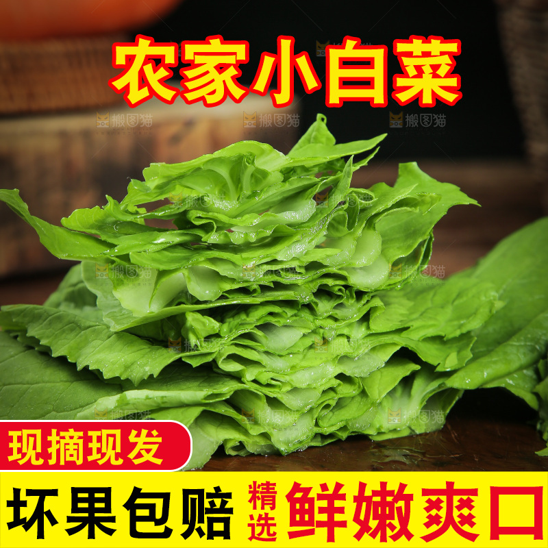 木底上的小白菜
