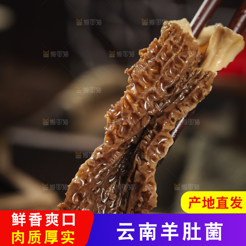 筷子上夹着羊肚菇