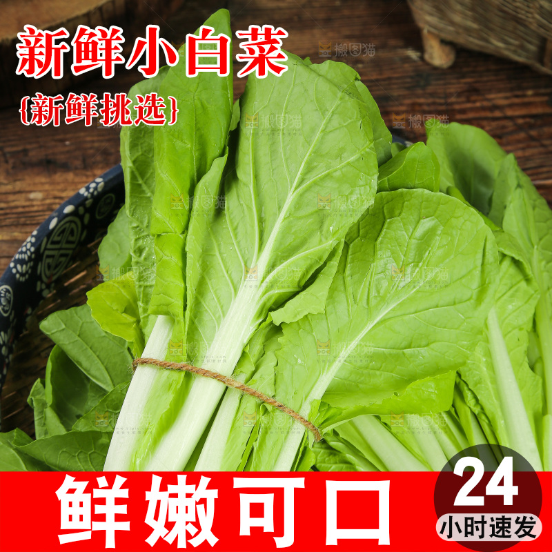 一篮小白菜
