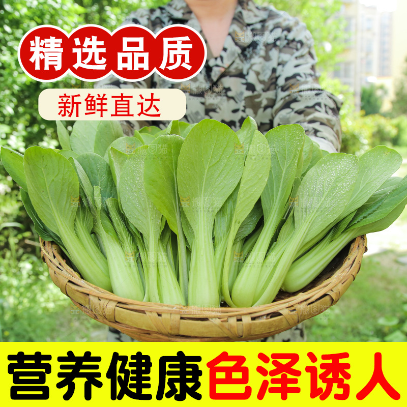 手里端着一篮青菜