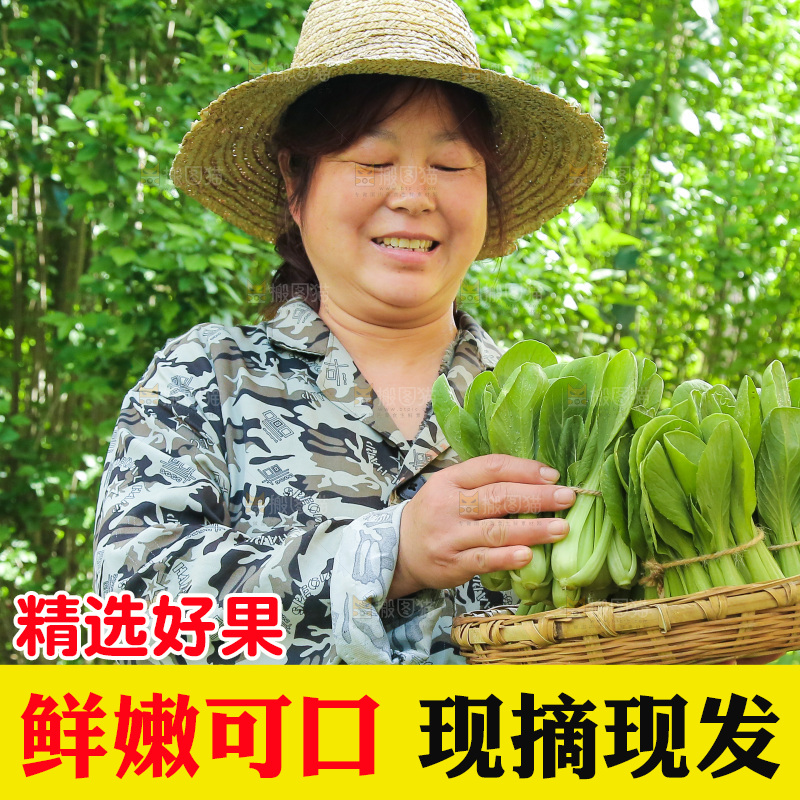 手里端着一篮新鲜青菜