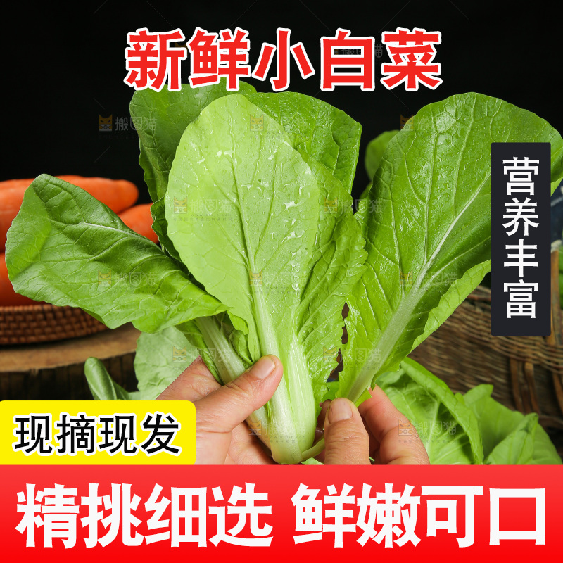 手里拿着小白菜