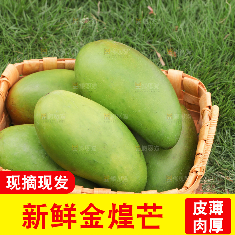 一篮新鲜金煌芒