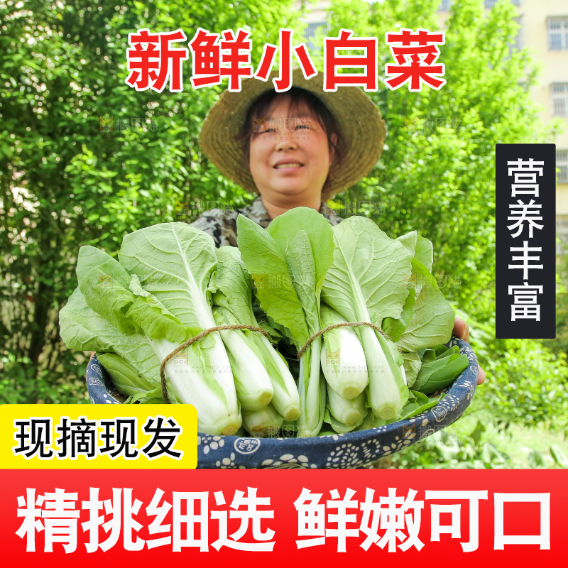 手里端着一篮小白菜