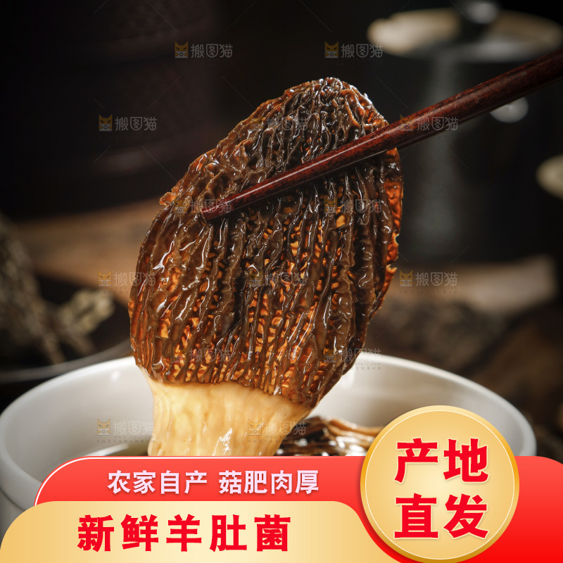 筷子上夹着羊肚菌