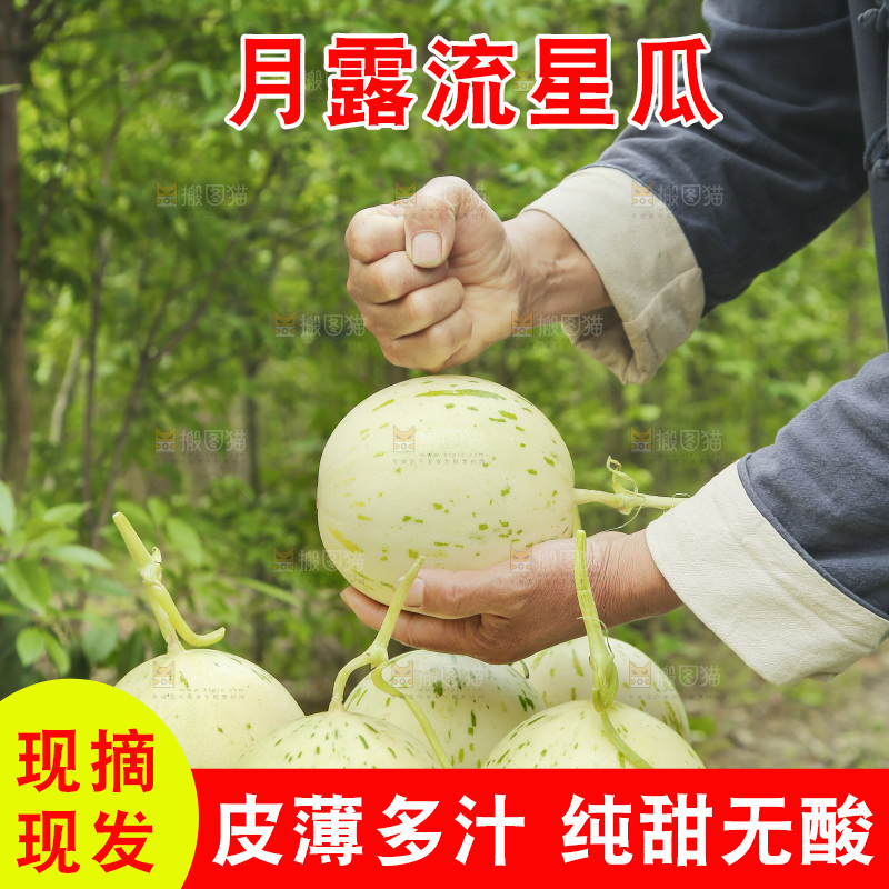 手里拿着流星蜜瓜