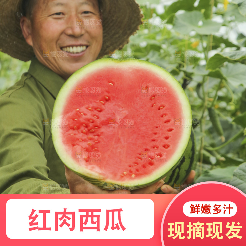 手里拿着切面的冰糖西瓜