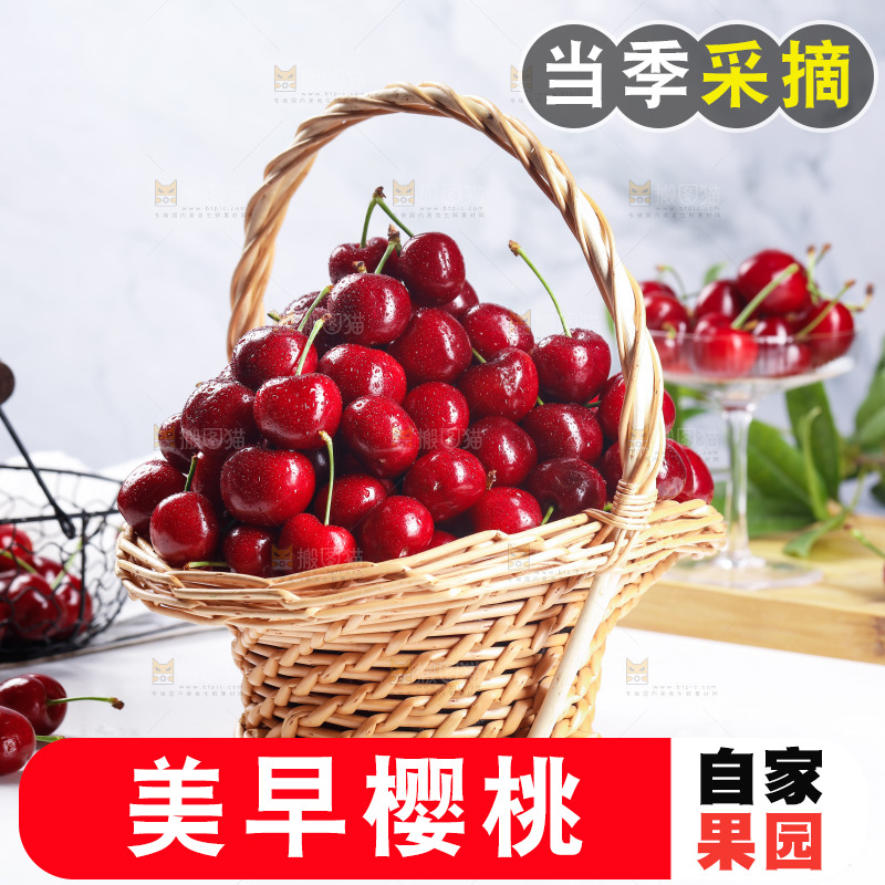 一篮美早大樱桃
