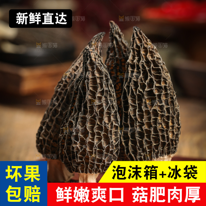 木底上摆放着羊肚菇