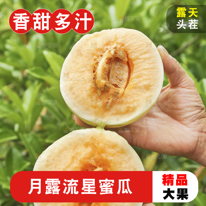 手里拿着红心月露流星蜜瓜