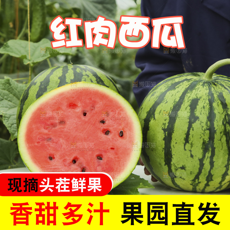 桌子上红肉西瓜