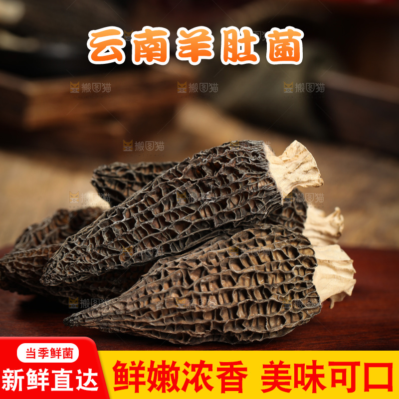 手里拿着云南羊肚菌