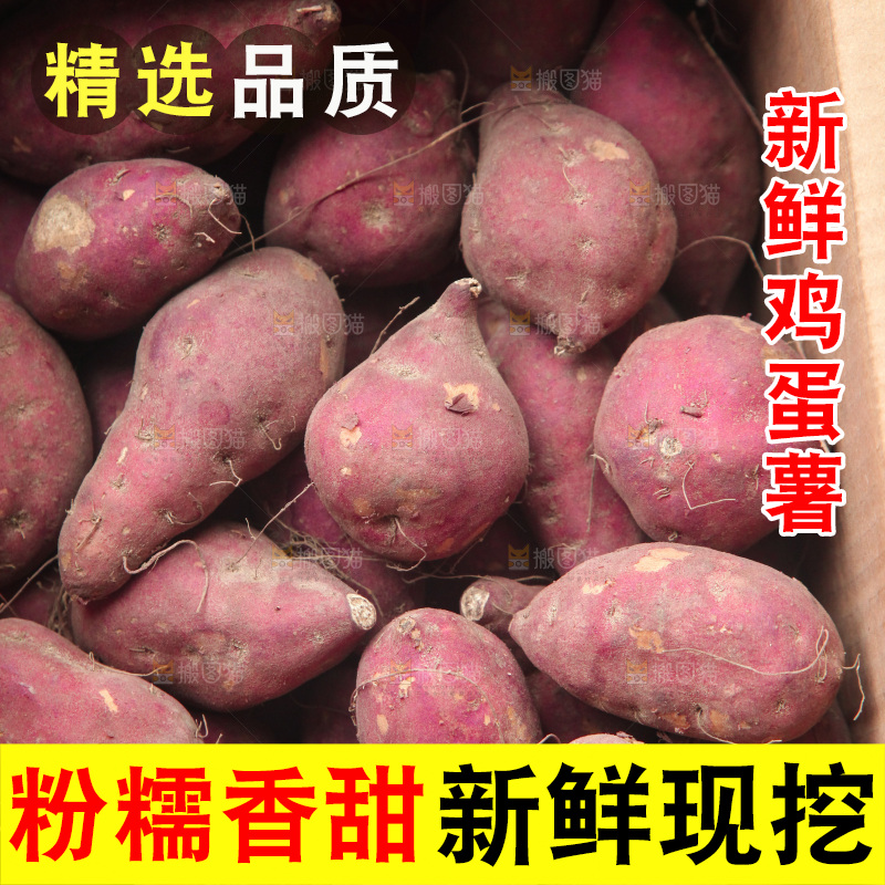 一箱鸡蛋薯
