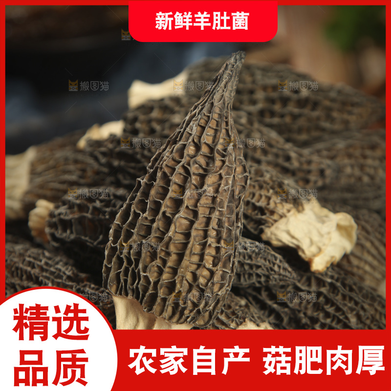 一篮干羊肚菌