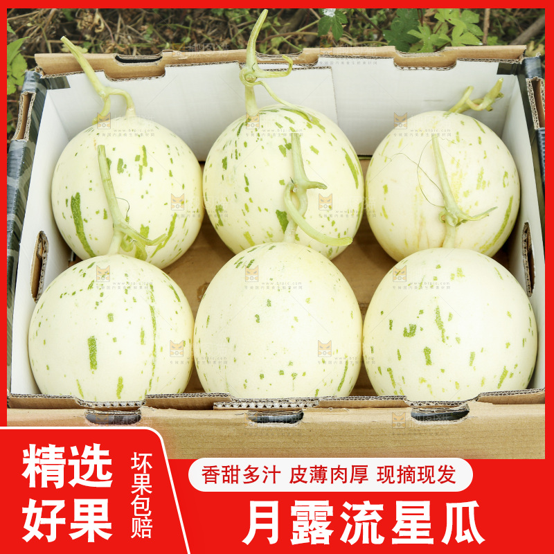 一箱月露流星瓜