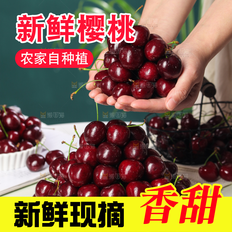 手里捧着美早大樱桃