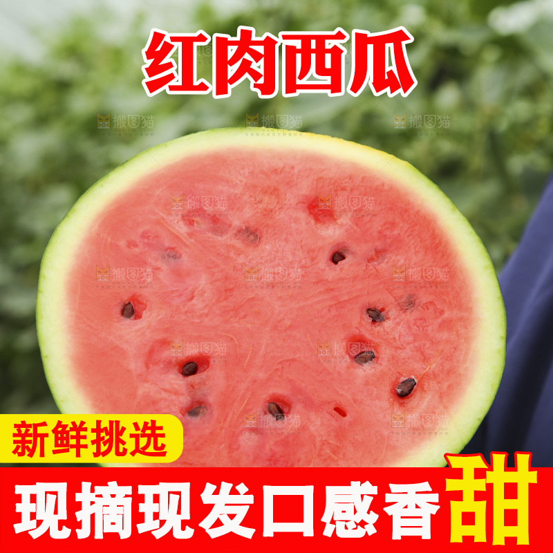手里拿着半边面的红心西瓜