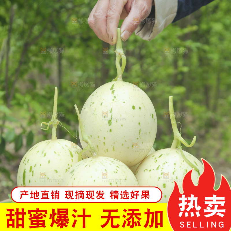 桌子上放着一堆月露流星瓜