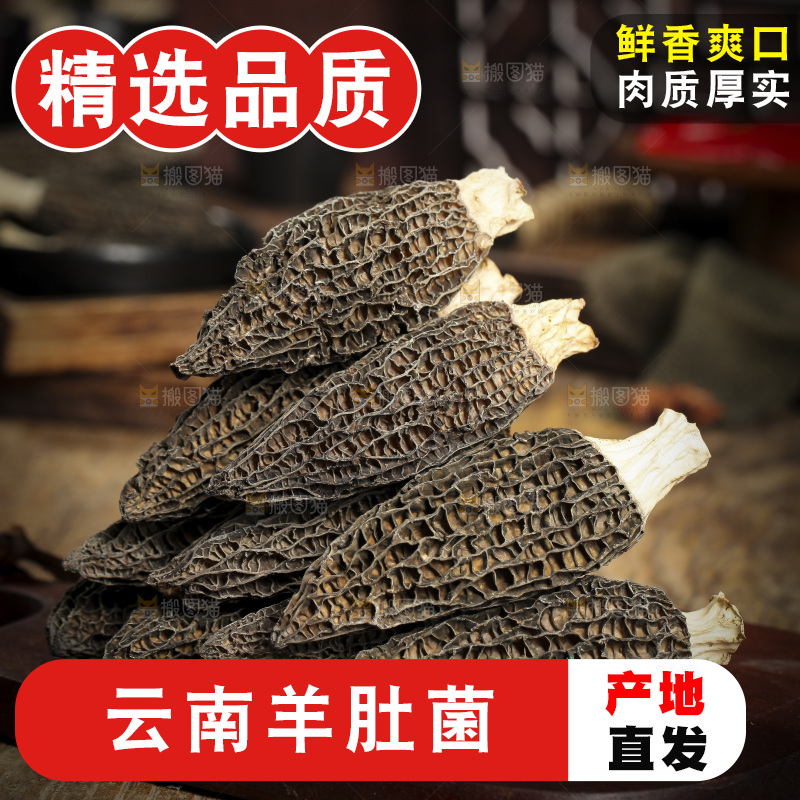 一堆干羊肚菌