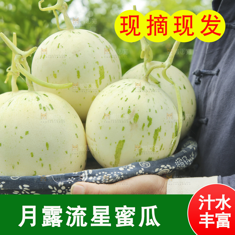 手里端着一篮月露蜜瓜