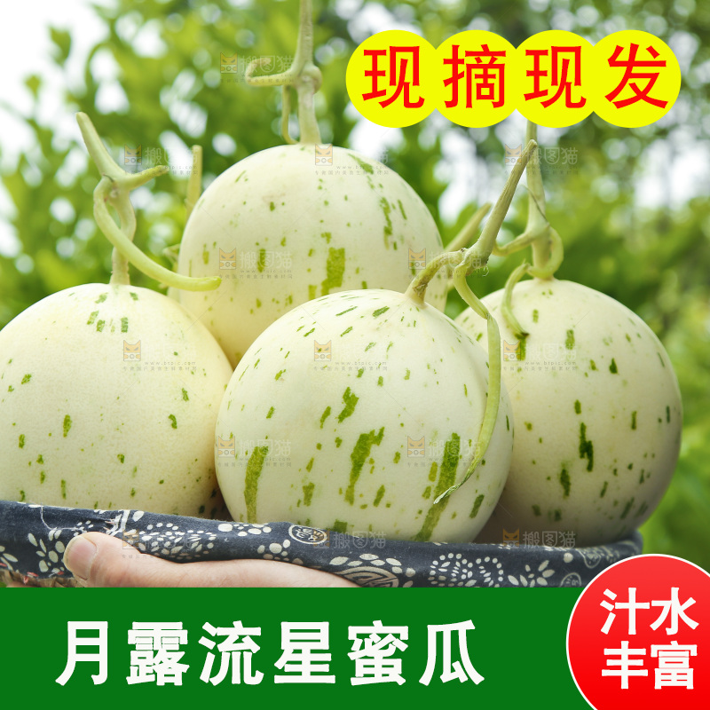 手里端着一篮流星蜜瓜