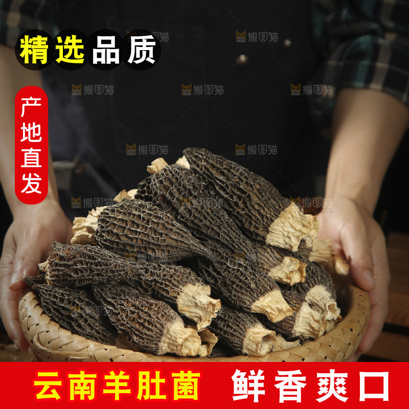 手里端着一篮云南羊肚菌