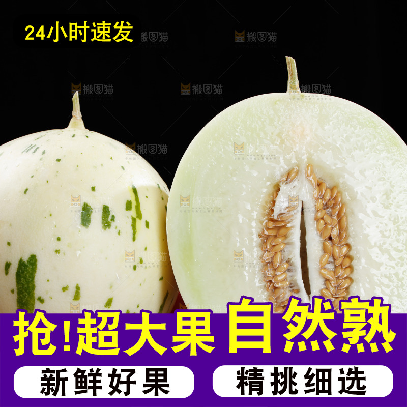 手里拿着白露流星蜜瓜