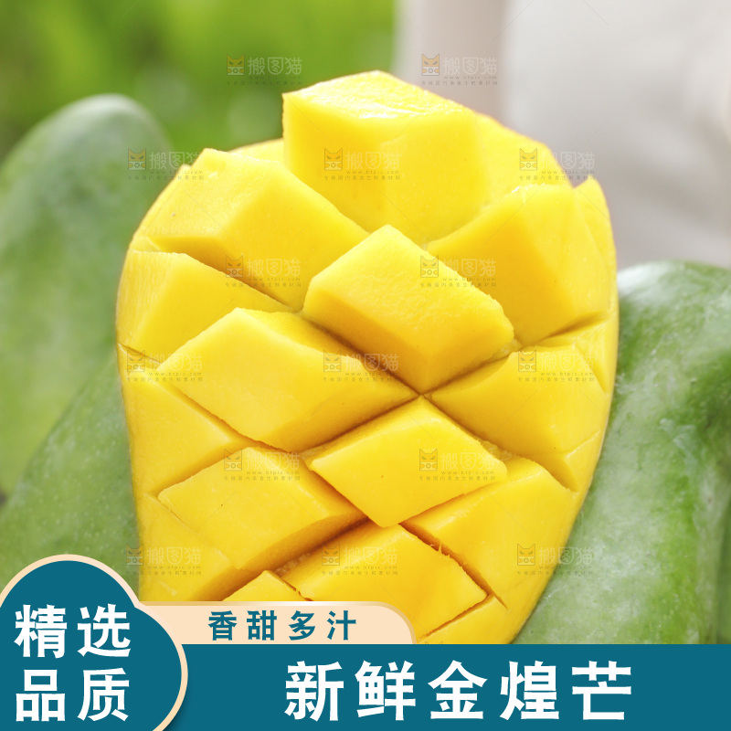 手里端着一篮水仙芒