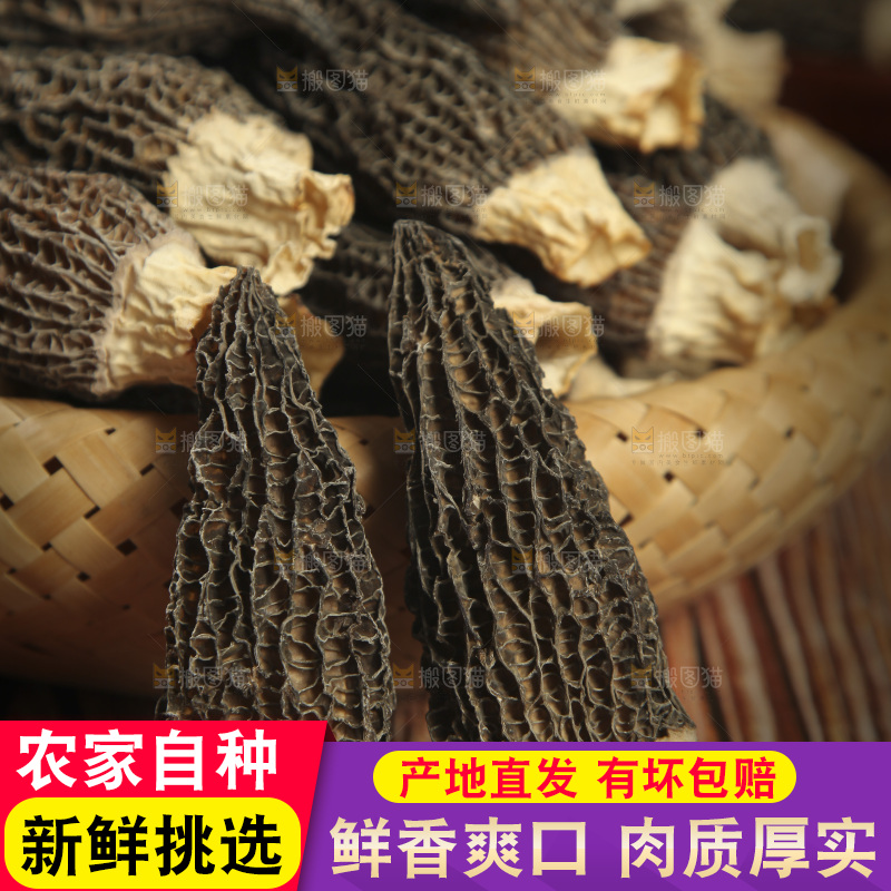 木底上的干羊肚菌