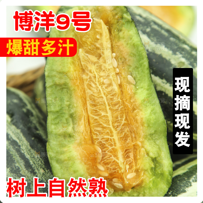 博洋9号纹理