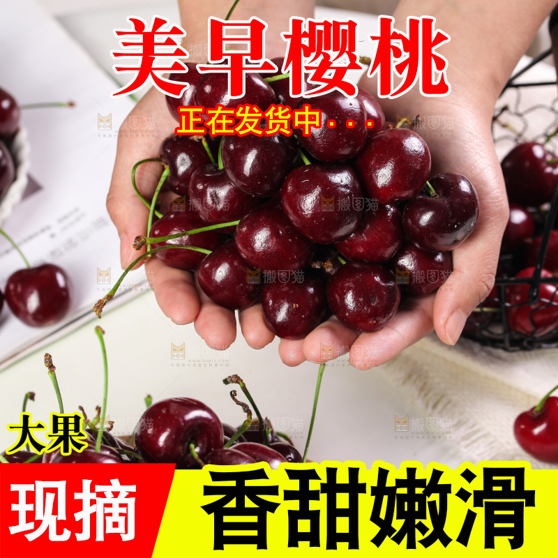 手里捧着美早大樱桃