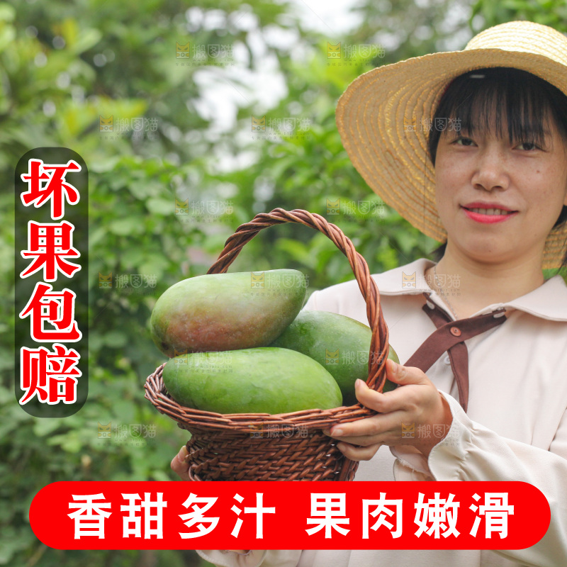 手里提着一篮金煌芒果