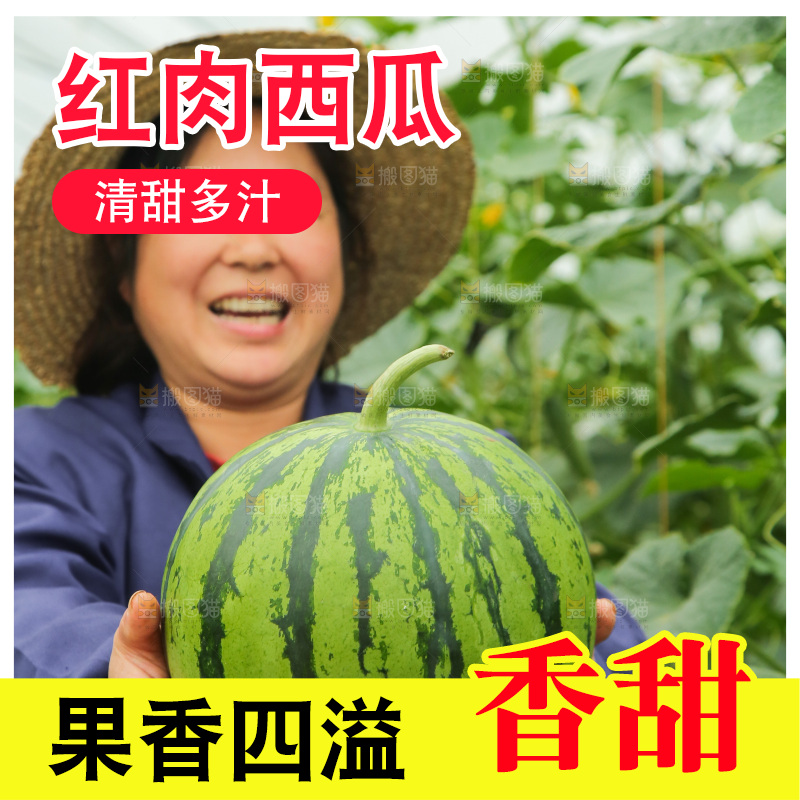 手里抱着个大西瓜