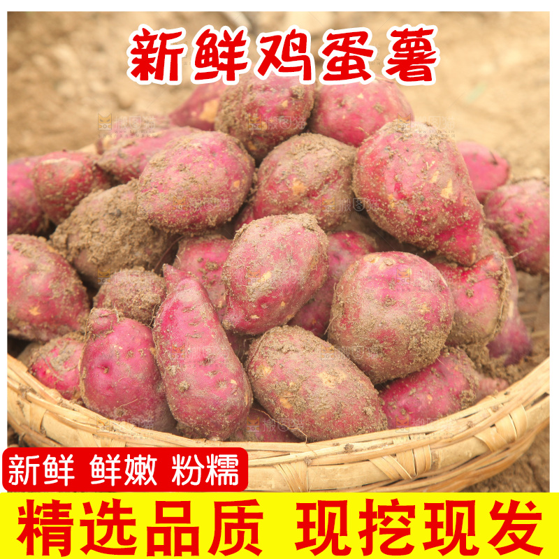 一篮临安鸡蛋薯