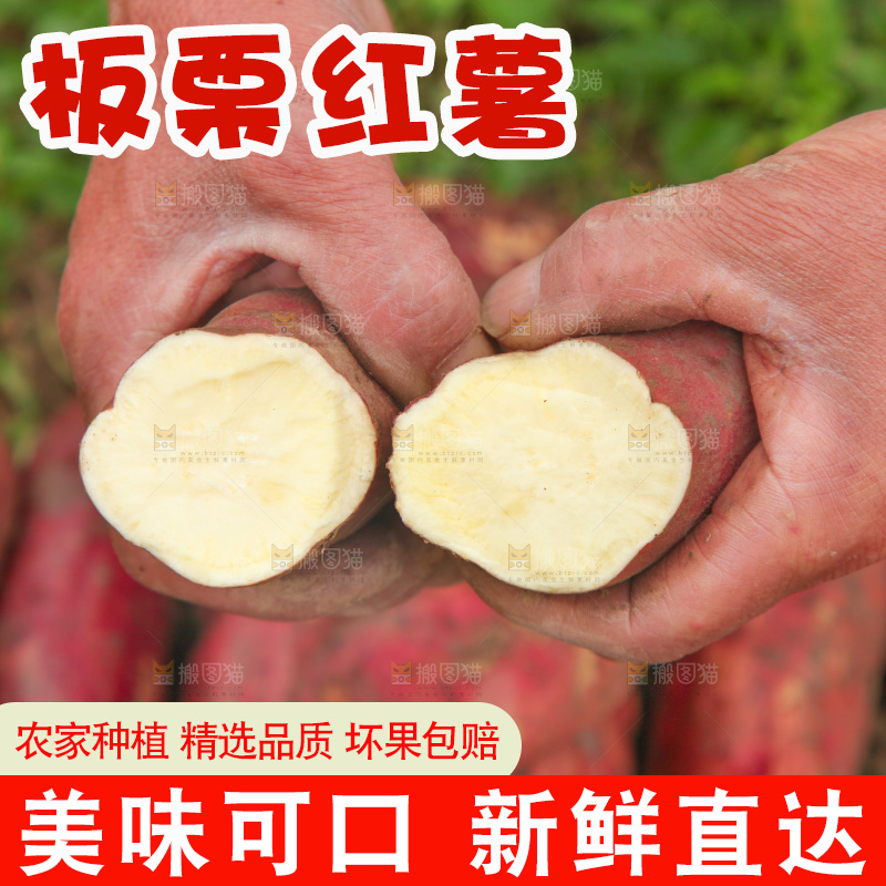 掰成两节的白心红薯