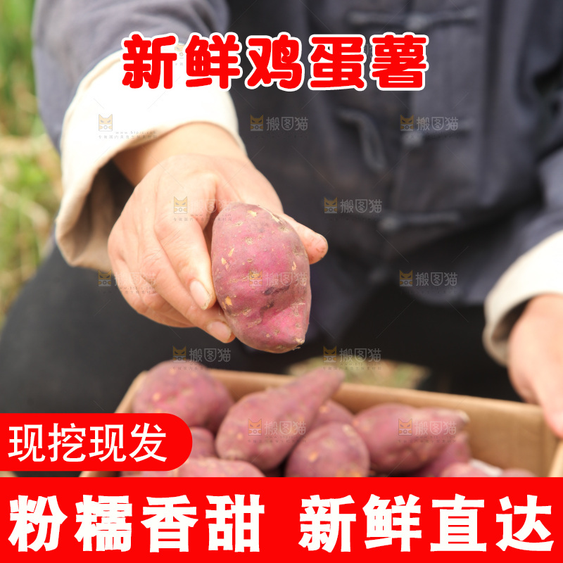 手里拿着小香薯