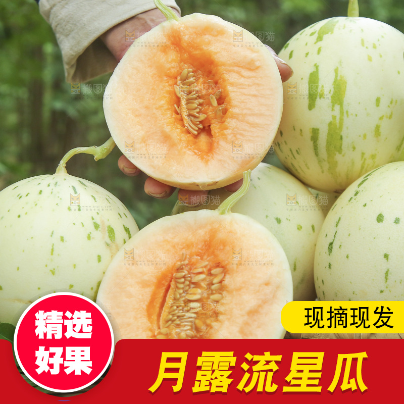 手里拿着红心月露流星蜜瓜