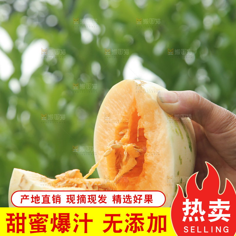 手里拿着红心月露流星蜜瓜