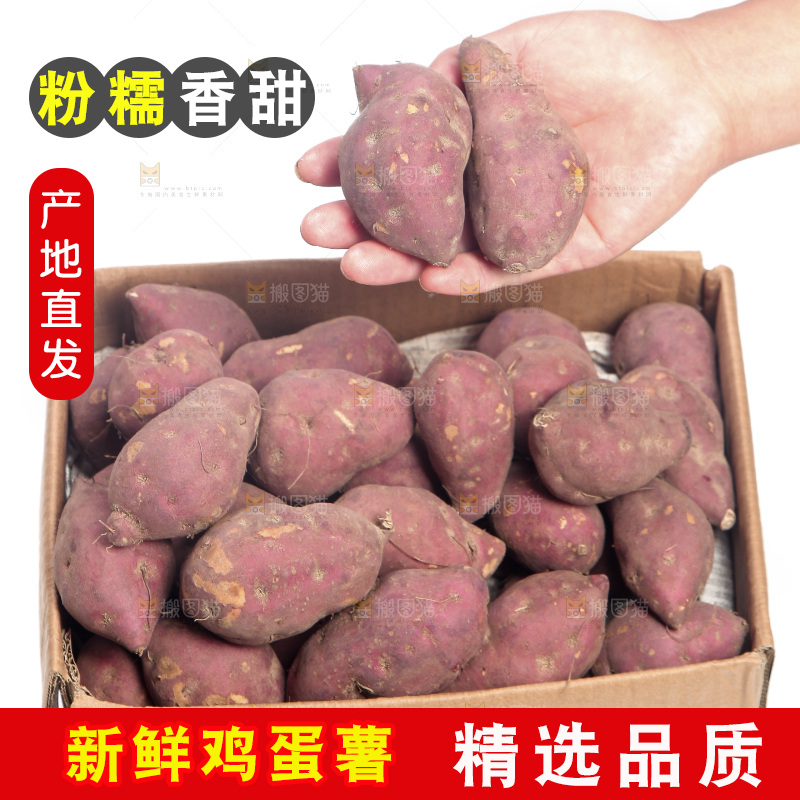手里拿着鸡蛋小香薯