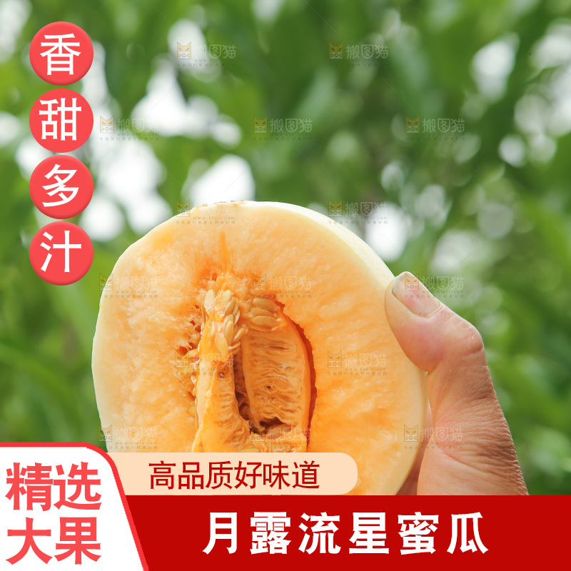 掰成两半的红心月露流星蜜瓜